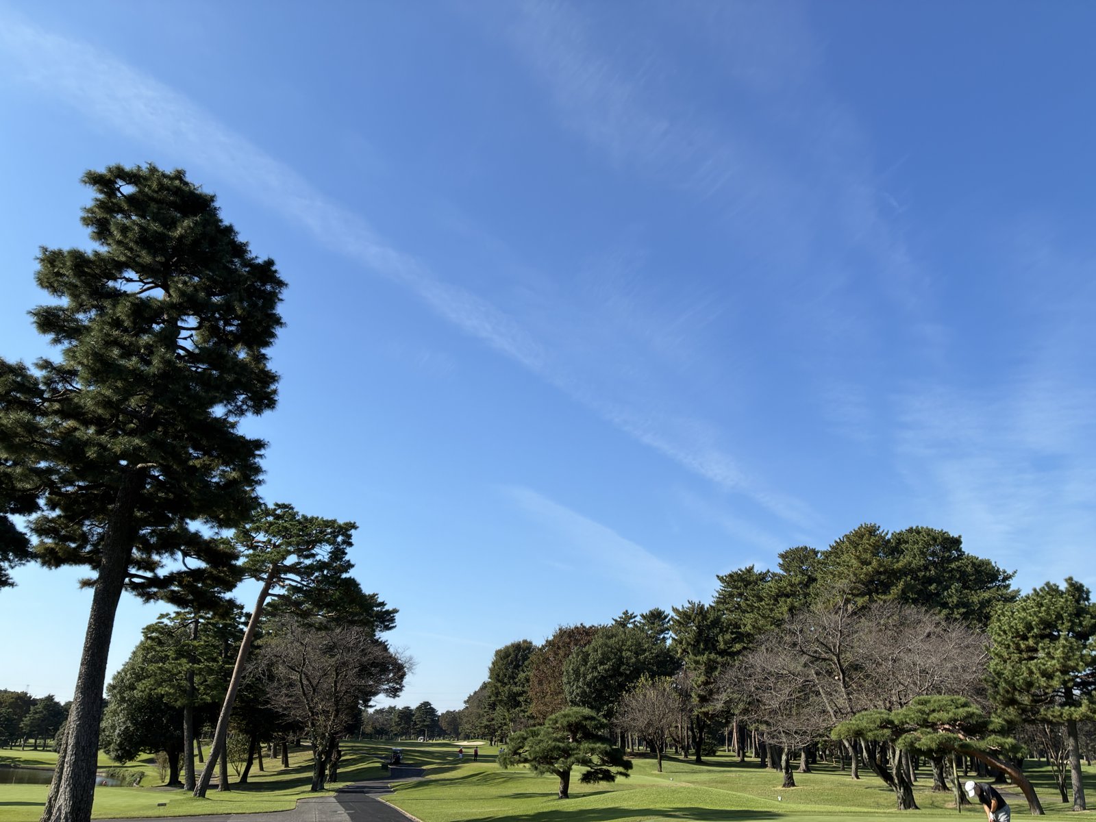 青空の下、松林に囲まれた千葉カントリークラブ川間コースの景色