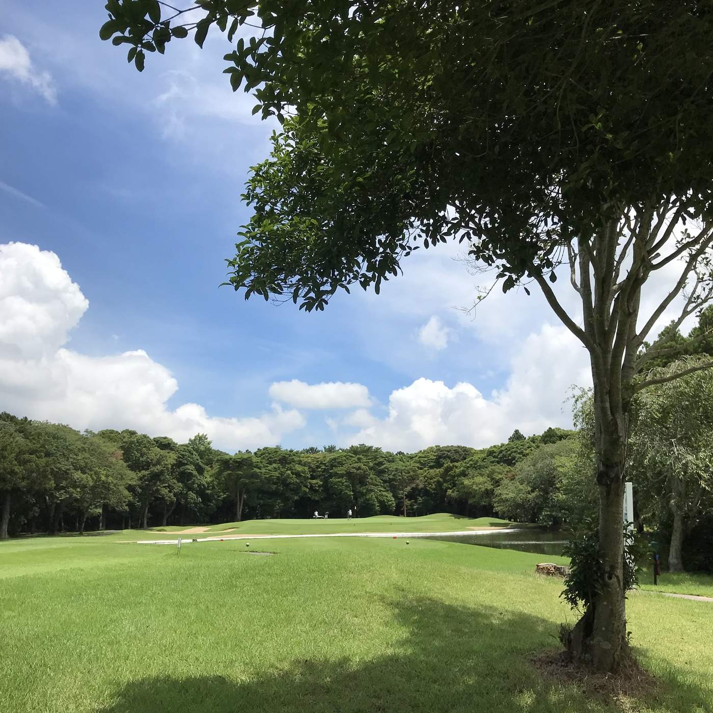 【ROUND #007】88打・潮来カントリー倶楽部｜前後半44-44の完璧な均衡。88打が示す「安定」の意味