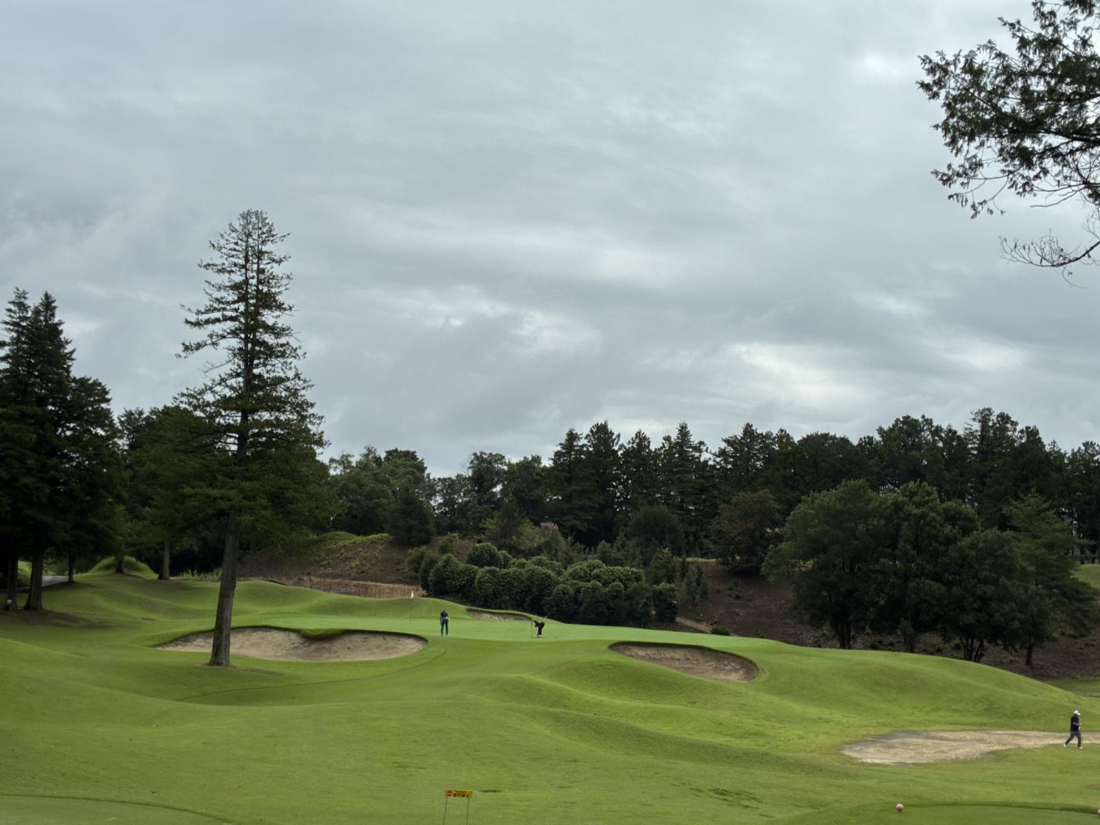 【ROUND #288】85打・オールドオーチャードゴルフクラブ｜取引先コンペ47名中6位＆ニアピン賞
