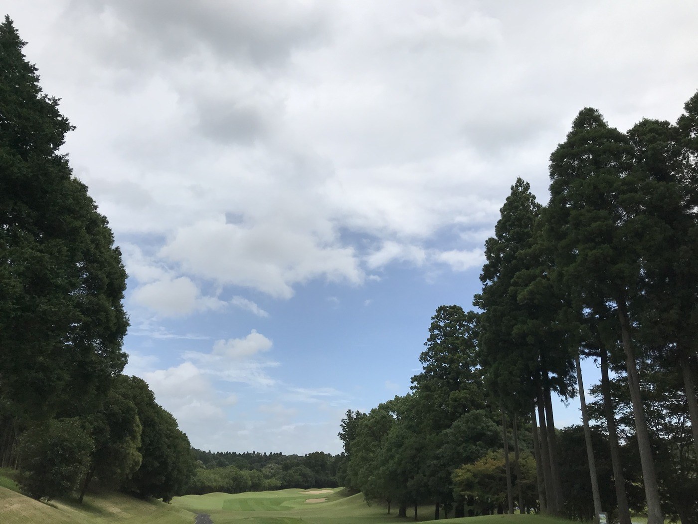 【ROUND #060】84打・多古カントリークラブ｜OUT H9バーディ含む前後半安定の84打